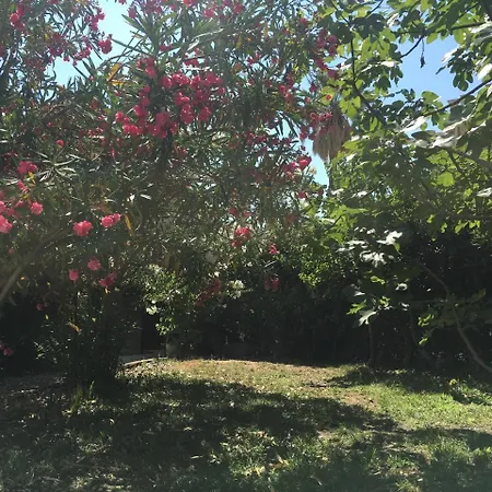 Avenue Bel-air